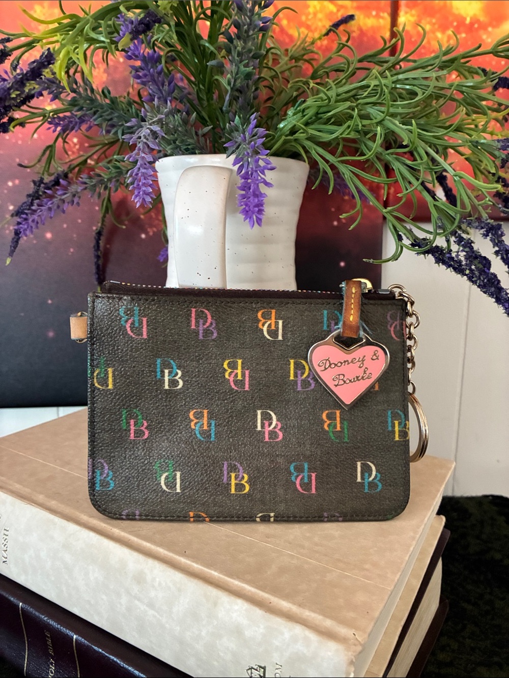 Dooney & Bourke Rainbow Coin Pouch
